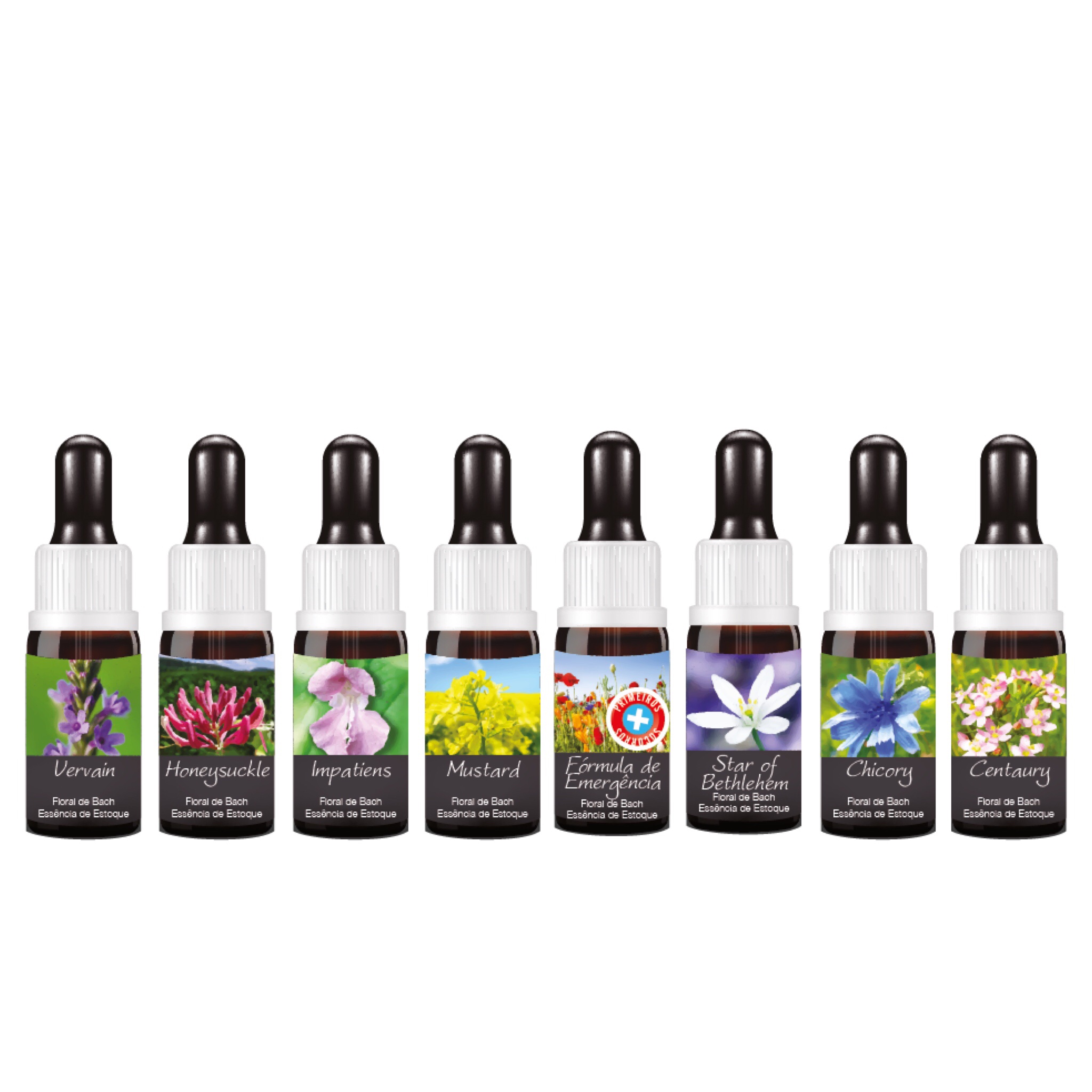 Kit 10 Essências Florais de Bach 10 ML