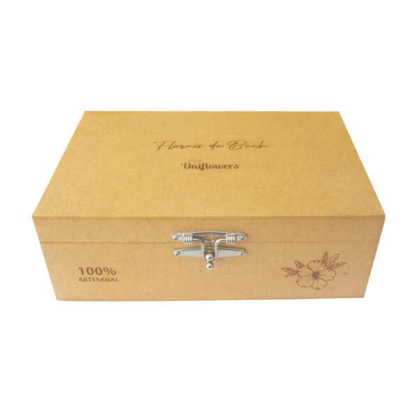 Kit 40 Florais de Bach 30 ml