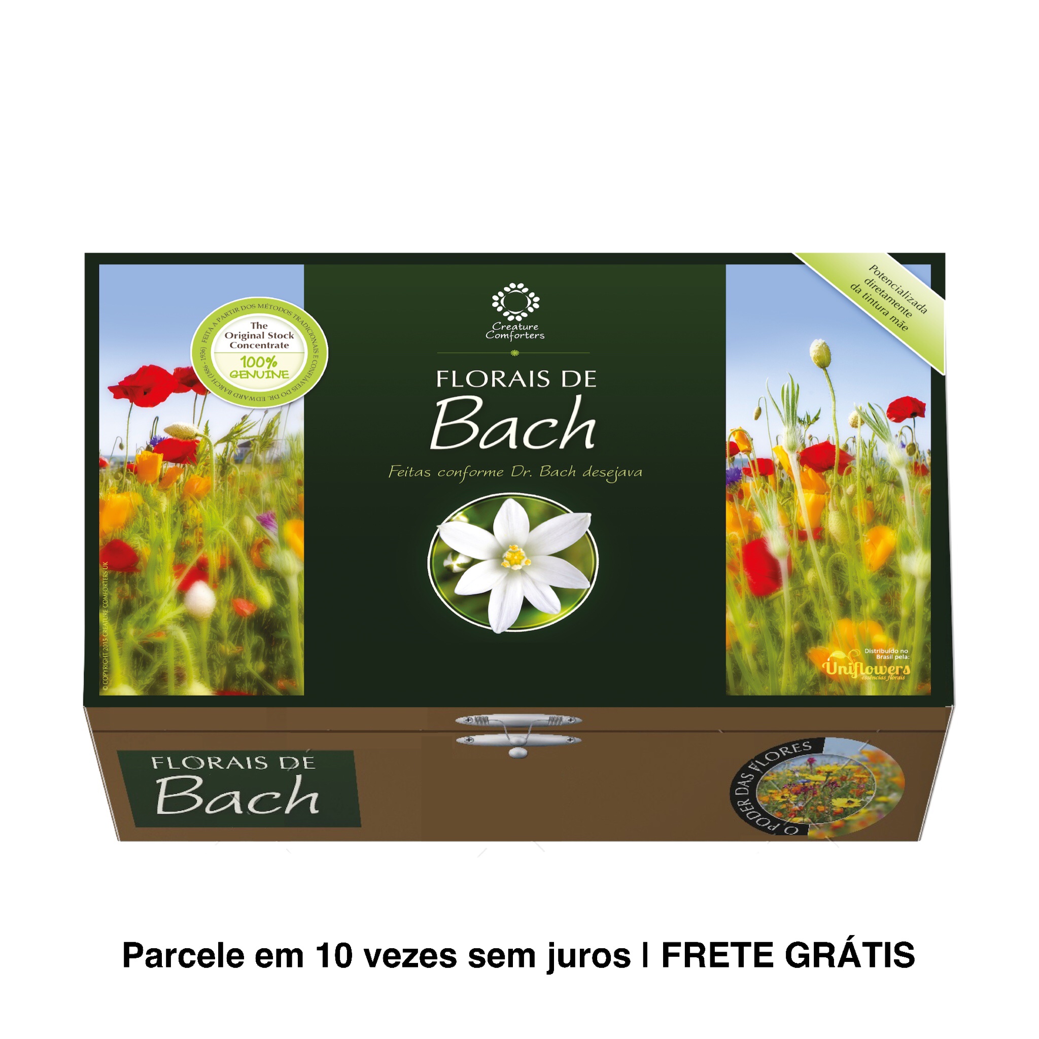 Kit 40 Florais de Bach 20 ml